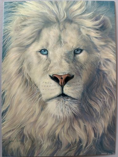 Белый лев. Lucie Bilodeau. Авторская открытка, глянец. АСARDS.BY