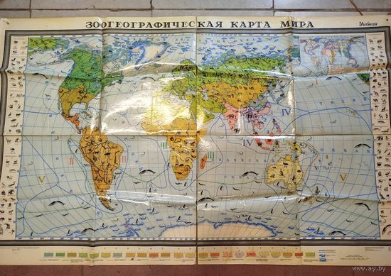Карта зоогеографическая мира