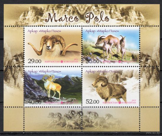 Киргизия 2013.Фауна Горный баран блок (418)
