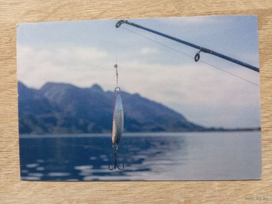 О-12. ПОДПИСАННАЯ ОТКРЫТКА. ГЕРМАНИЯ. БЛЕСНА.