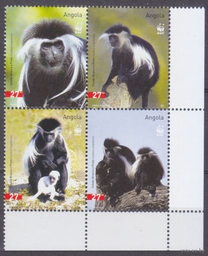 2004 Ангола 1745-1748VB Обезьяна