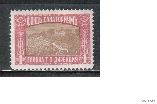 Болгария(Царство)-1933, (Мих.11), *  , В фонд санаторий(одиночка)