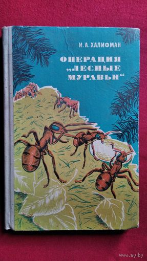 И.А. Халифман. Операция "лесные муравьи"