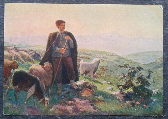 Азизян Г. Колхозный чабан. Соцреализм. 1955 г. Чистая.