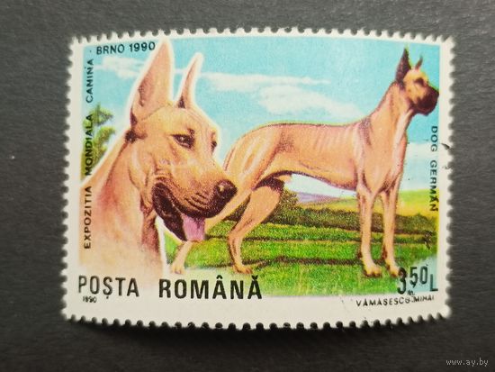 Румыния 1990. Международная выставка собак, Брно