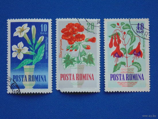 Румыния 1964 г. Цветы.
