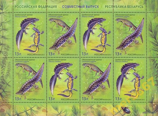 РОССИЯ 2012 1599-1600 Фауна Тритоны Беларусь ЛИСТ **
