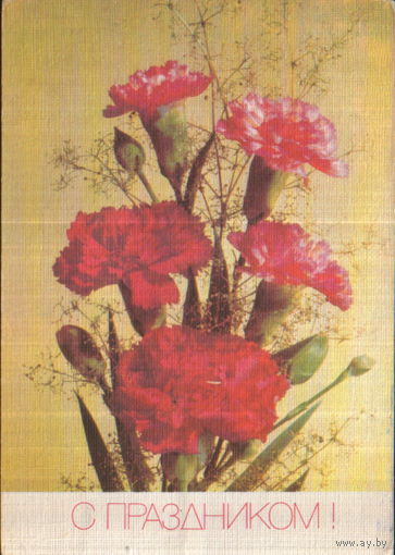 Чистая открытка 1990г. "С праздником! Гвоздики" фото И. Дергилев