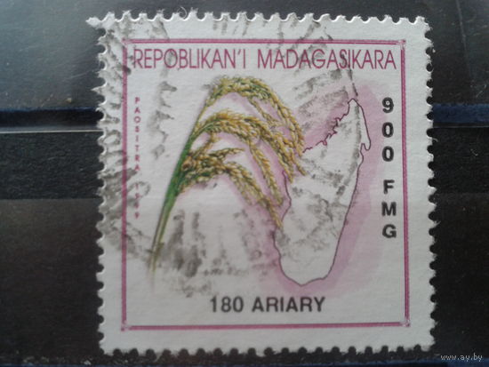 Магадаскар 2001 Стандарт, рис