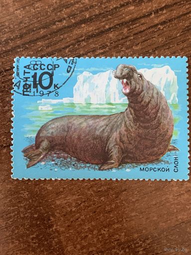 СССР 1978. Морской слон. Марка из серии
