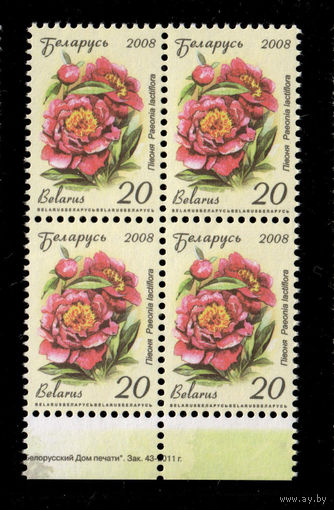 Беларусь. 2008. Стандарт. Пион (20р) (з.43-2011)