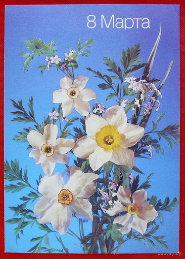 8 Марта. Подписанная. 1988 года. Дергилёва.