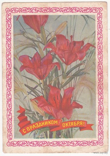 Открытка 1972 (295)