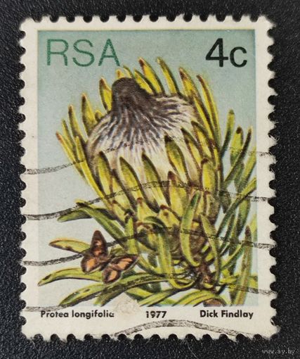 Марка ЮАР Цветы 1977г. 2.41