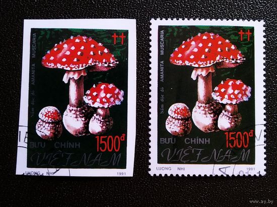 Марки Вьетнам 1991 год Грибы