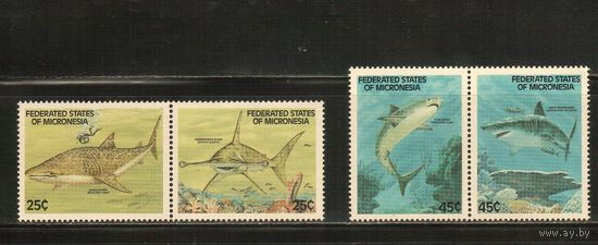 Микронезия-1989 (Мих.128-131) , ** , Морская фауна, Акулы (полная серия)