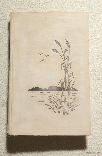 Птицы Белоруссии | Птицы Беларуси | А.В. Федюшин М.С. Долбик