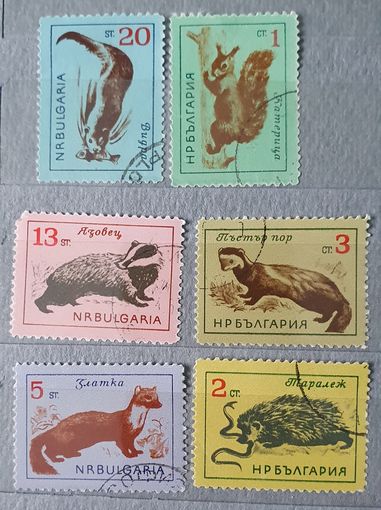 Болгария фауна 6шт