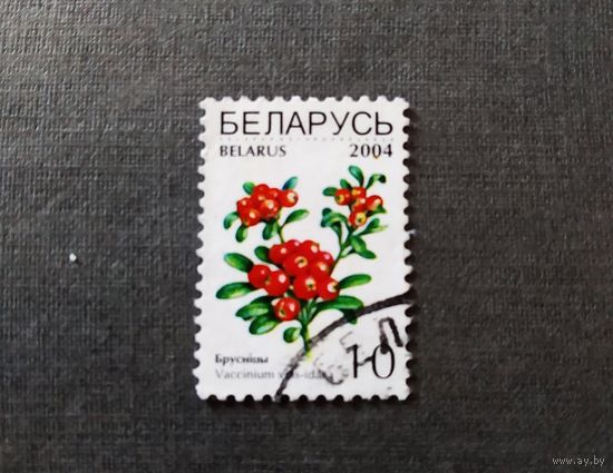 Марка Беларусь 2004 год Ягоды
