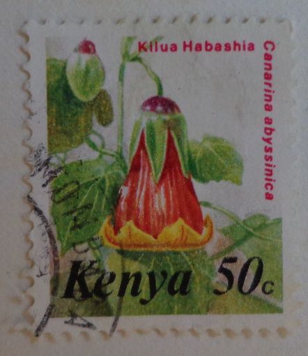 Кения.флора