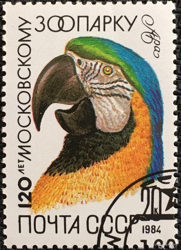 ЦІКАВВІЦЬ АБМЕН! 1984, Ара (20)