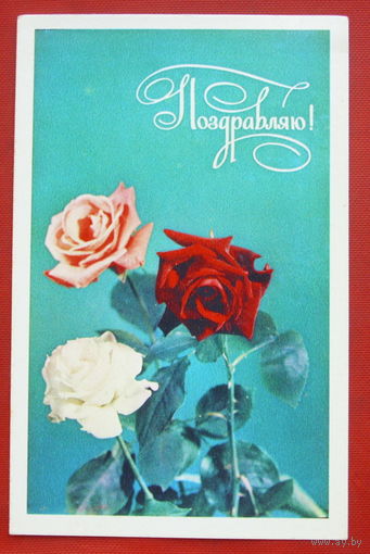 Поздравляю! Чистая. 1974 года. Фото Лисецкого. 424.