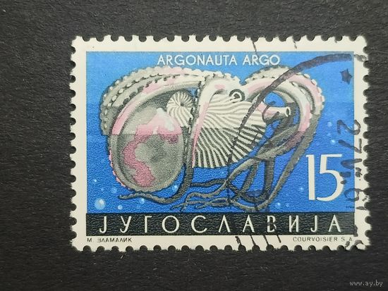 Югославия 1956. Местная фауна – морская жизнь