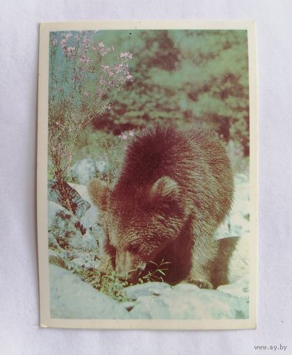 Карманный календарик 1990 г.