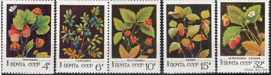 СССР 1982 Дикорастущие ягоды полная серия (мал алб)