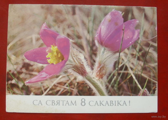Са святам 8 сакавiка! Подписанная. Двойная. 1988 года. Лихтарович. 1200.