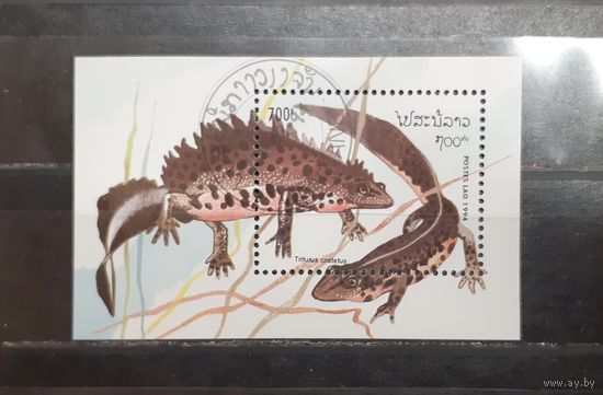 Лаос. 1994 год. Фауна. Пресмыкающиеся. Тритоны. Блок (1062)