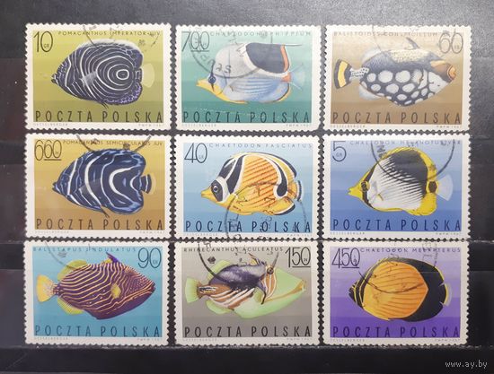 Польша. 1967 год. Фауна. Рыбы (1269)