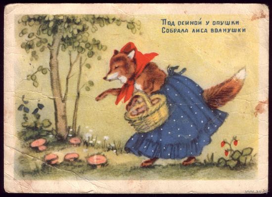 1954 год Н.Ушакова Собрала лиса волнушки
