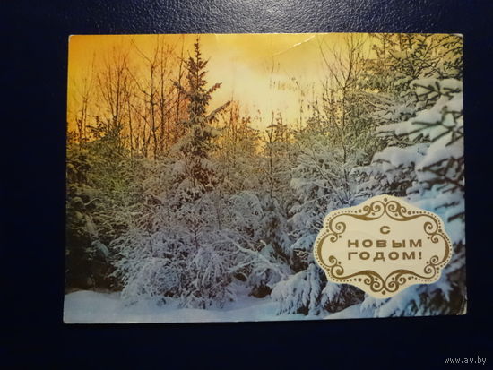 С Новым годом!  1975 г.  Солнце над зимним лесом.  подписанная.
