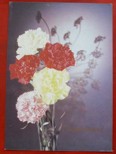 Поздравляю! Чистая. 1989 года. Фото Киндровой. *66.