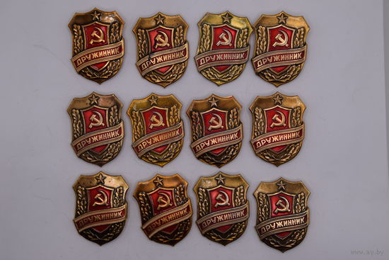 Нагрудный знак. "Дружинник". МВД. СССР. Цена за 1 шт.