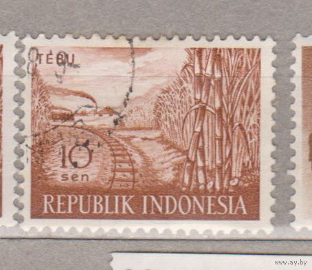 Железная дорога Поезда  флора Индонезия 1960 год год  лот  1084