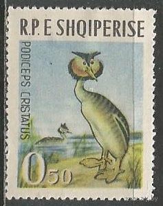 Албания. Птицы. Большая поганка. 1963г. Mi#741.
