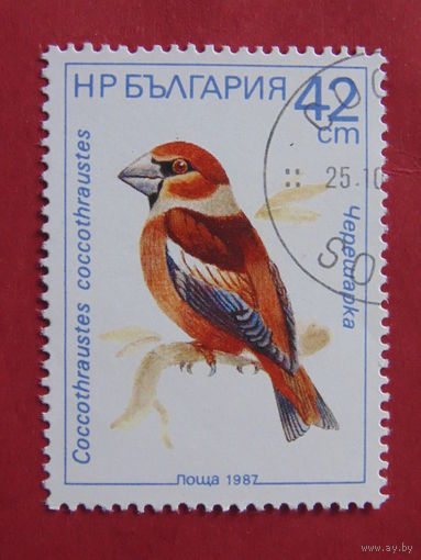 Болгария 1987 г.