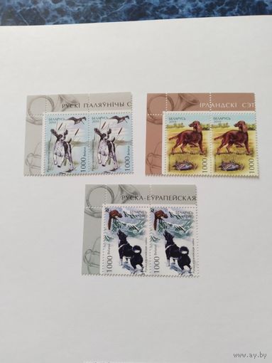 Беларусь  2010   3 м собаки (серия)