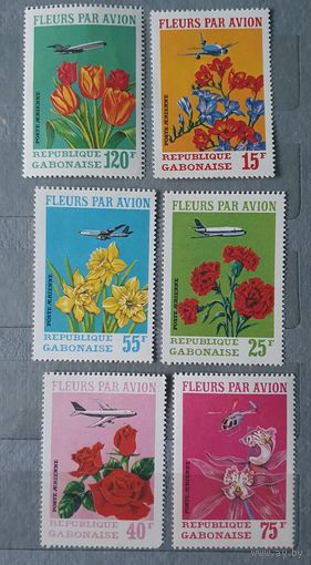 Габон цветы 6шт