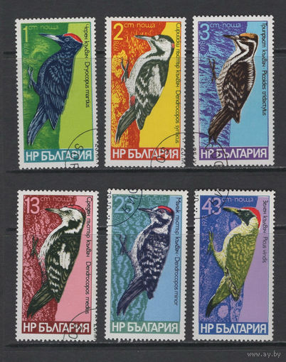 Фауна Птицы Болгария 1978 Дятлы Used