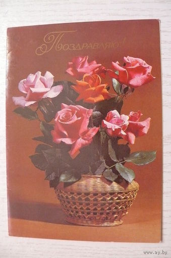 Круцко Л., Гарнич Т., Поздравляю! 1984, 1985, двойная, подписана.