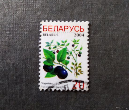 Марка Беларусь 2004 год Ягоды