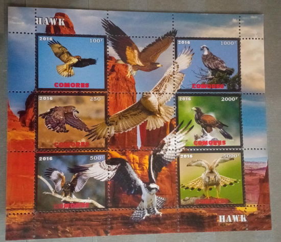 СЕРИЯ Блоков птицы   фауна  MNH