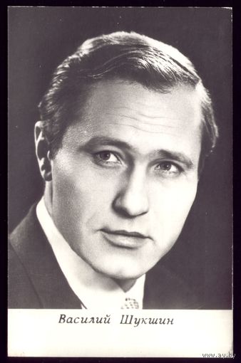 1973 год В.Шукшин Киев