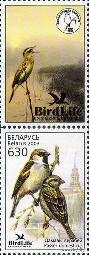 Птица года. Домовой воробей Беларусь 2003 год (507) серия из 1 марки с купоном