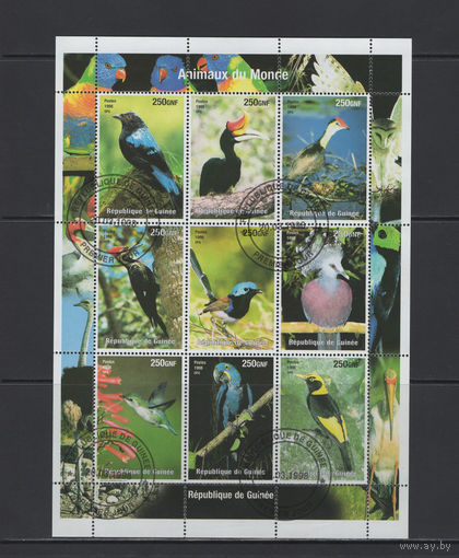 Фауна Птицы Гвинея 1998** Экзотические птицы малый лист Фил.гашение Used