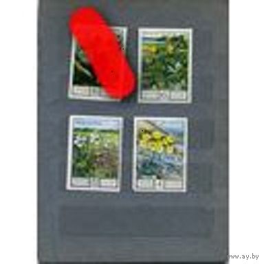 СССР, 1975,  ФЛОРА СССР ,  , 3м  чистая  по 20 коп шт