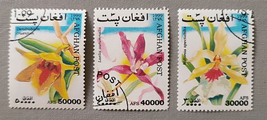 Орхидеи. Афганистан, 1999